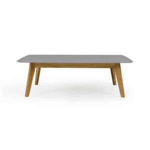 Tenzo salontafel Bess - grijs/eikenkleur - 38x120x60 cm - Leen Bakker